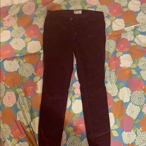 Free people corduroys